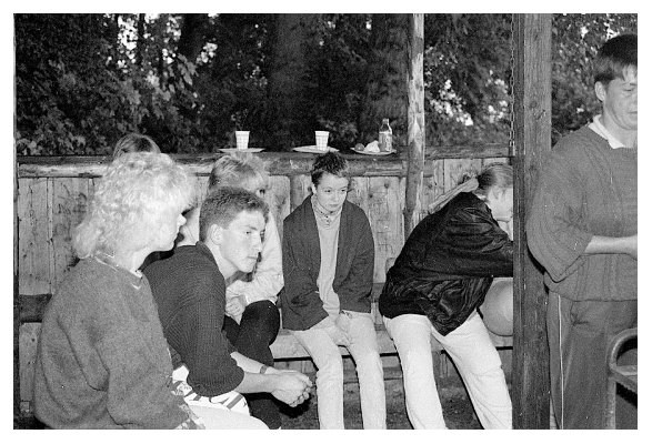 fiede1987_borgwedel1_36