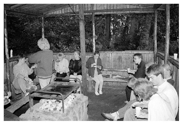 fiede1987_borgwedel2_06