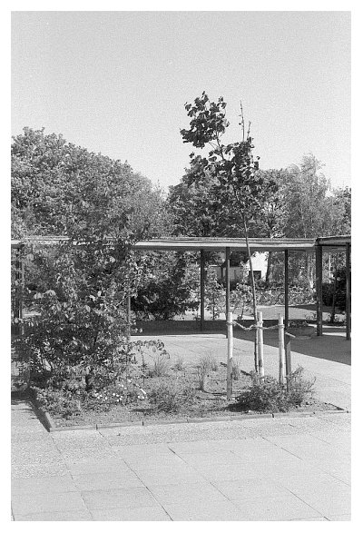 archiv1987_schulalltag_26