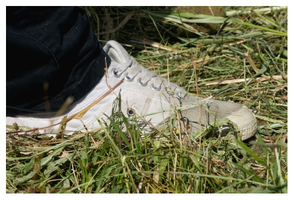 johannaleaf2008_abiumzug_103