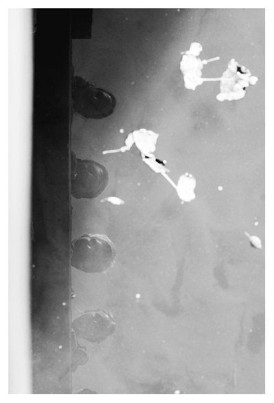 3739_0118